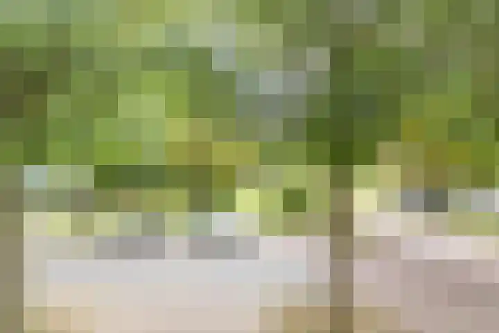 Deken van Oppensingel 163 Venlo thumbnail 12