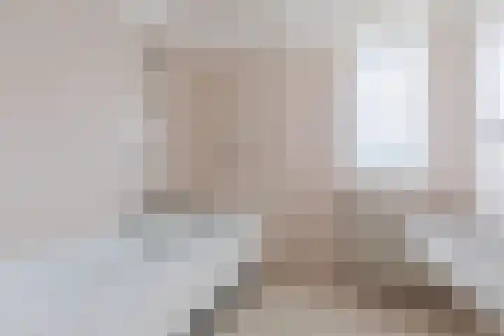 Deken van Oppensingel 163 Venlo thumbnail 8