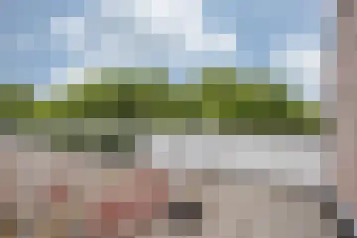 Deken van Oppensingel 179 Venlo thumbnail 10