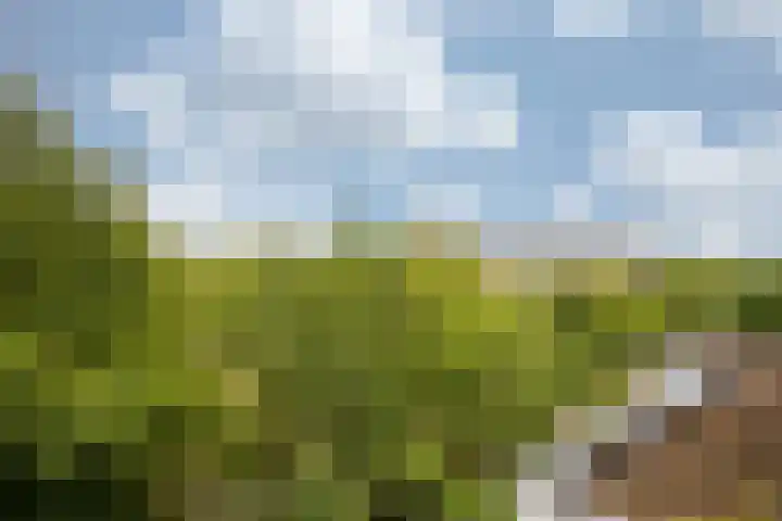 Deken van Oppensingel 179 Venlo thumbnail 11