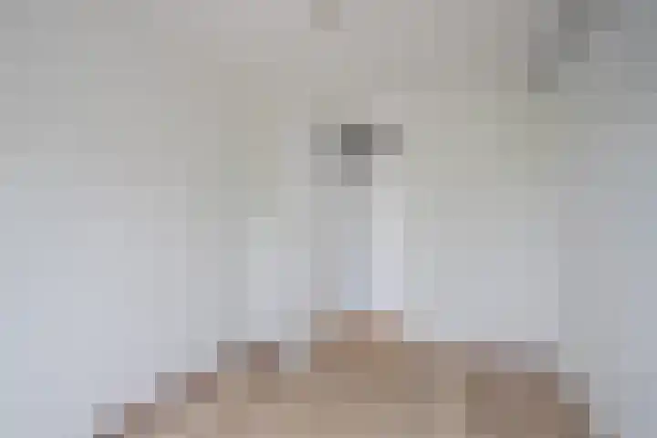 Deken van Oppensingel 179 Venlo thumbnail 22