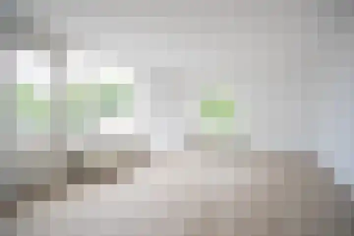 Deken van Oppensingel 179 Venlo thumbnail 4
