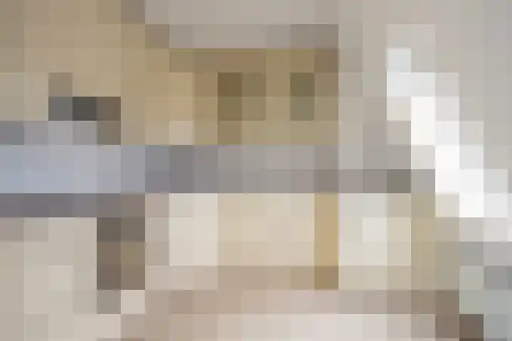 Deken van Oppensingel 179 Venlo thumbnail 9