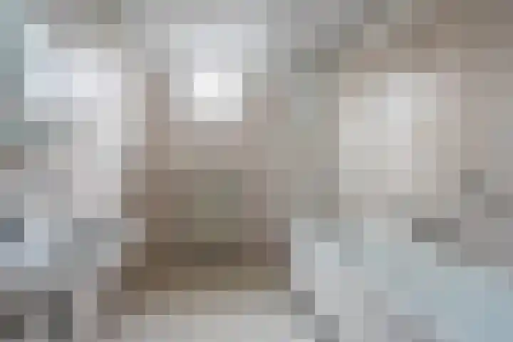 Deken van Oppensingel 191 Venlo thumbnail 13