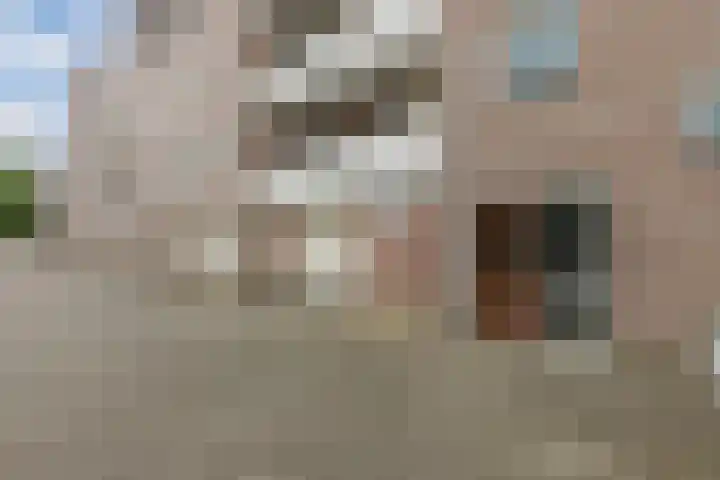 Deken van Oppensingel 191 Venlo thumbnail 15