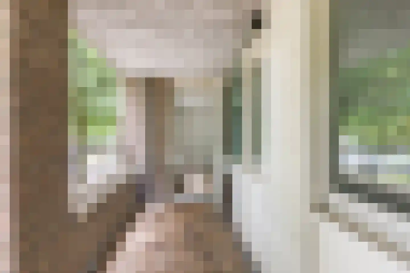 Deken van Oppensingel 195 Venlo thumbnail 20