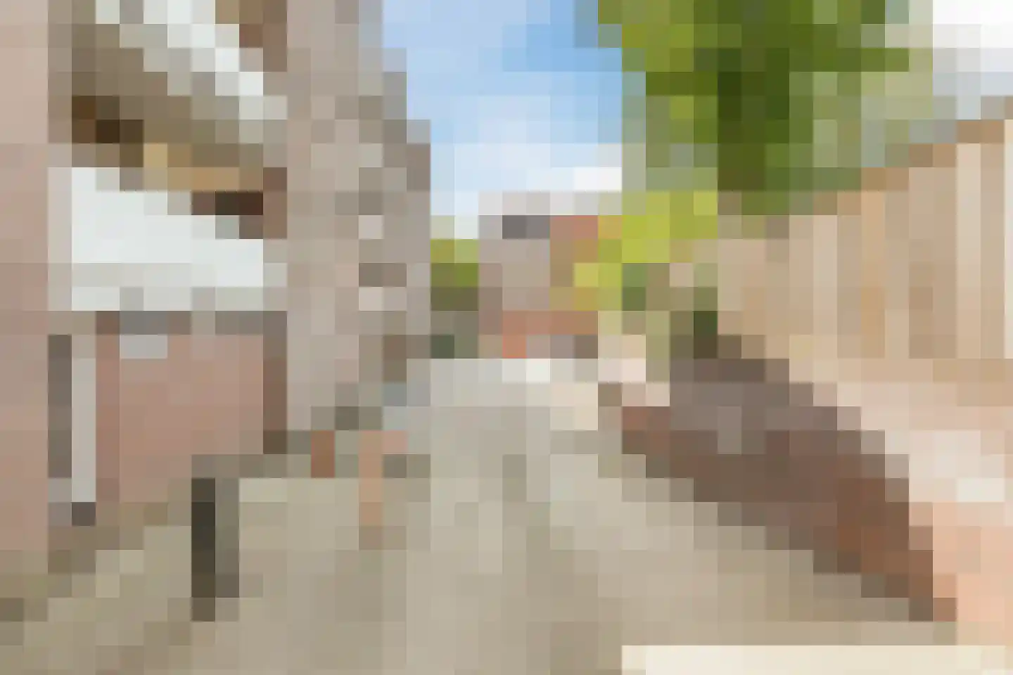 Deken van Oppensingel 195 Venlo thumbnail 23
