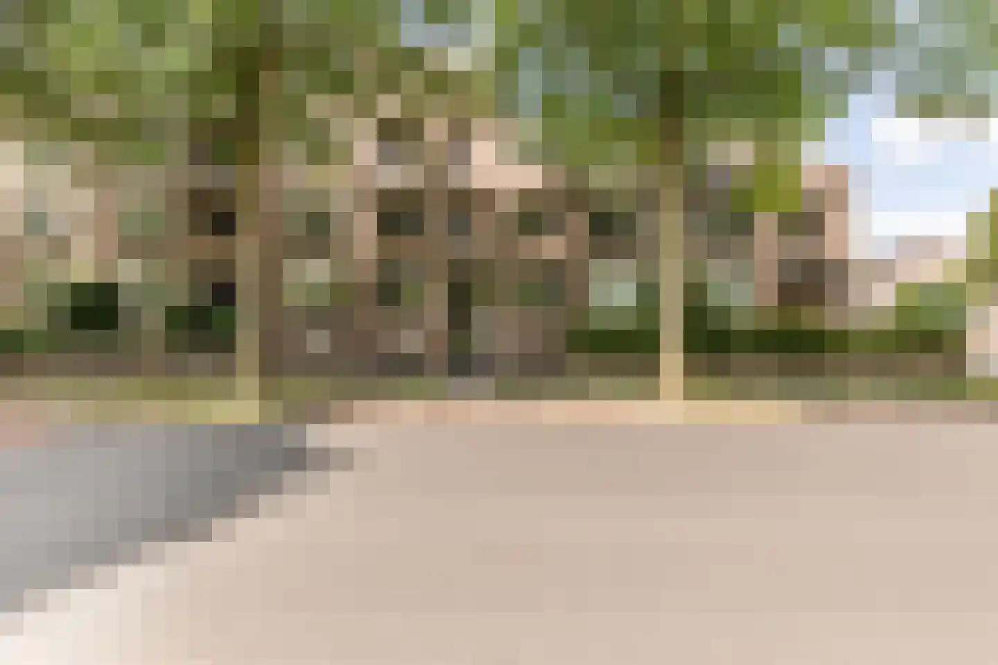 Deken van Oppensingel 195 Venlo thumbnail 25