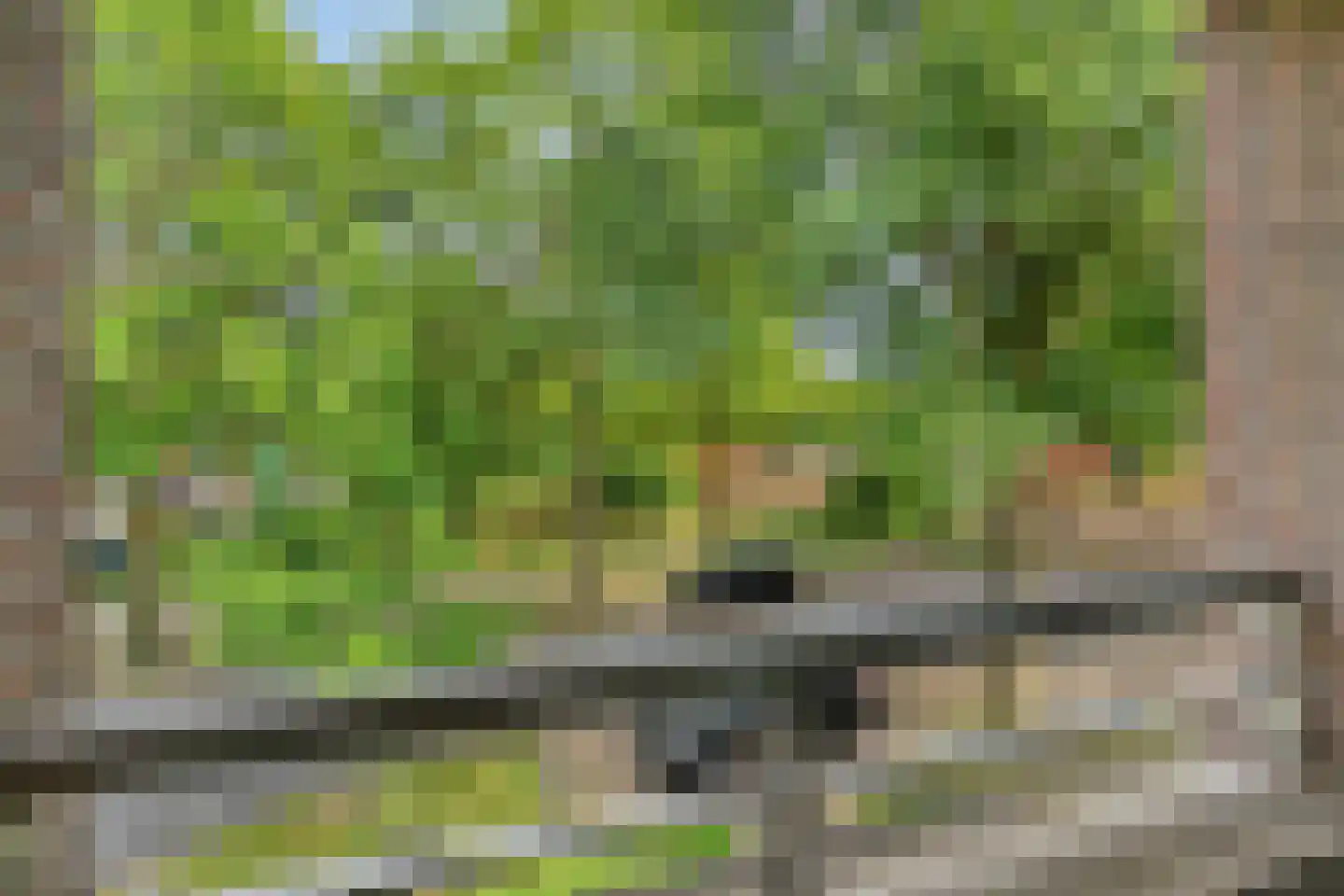 Deken van Oppensingel 199 Venlo thumbnail 16