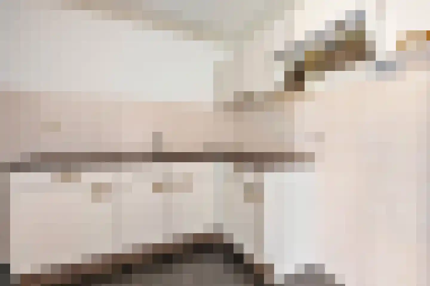 Deken van Oppensingel 201 Venlo thumbnail 13