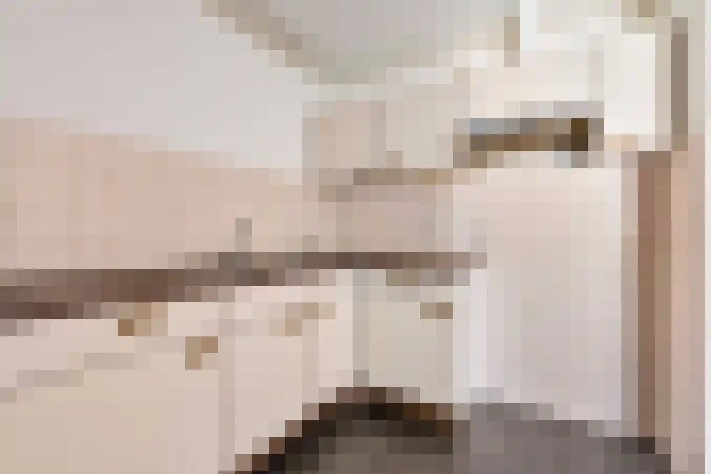 Deken van Oppensingel 201 Venlo thumbnail 14
