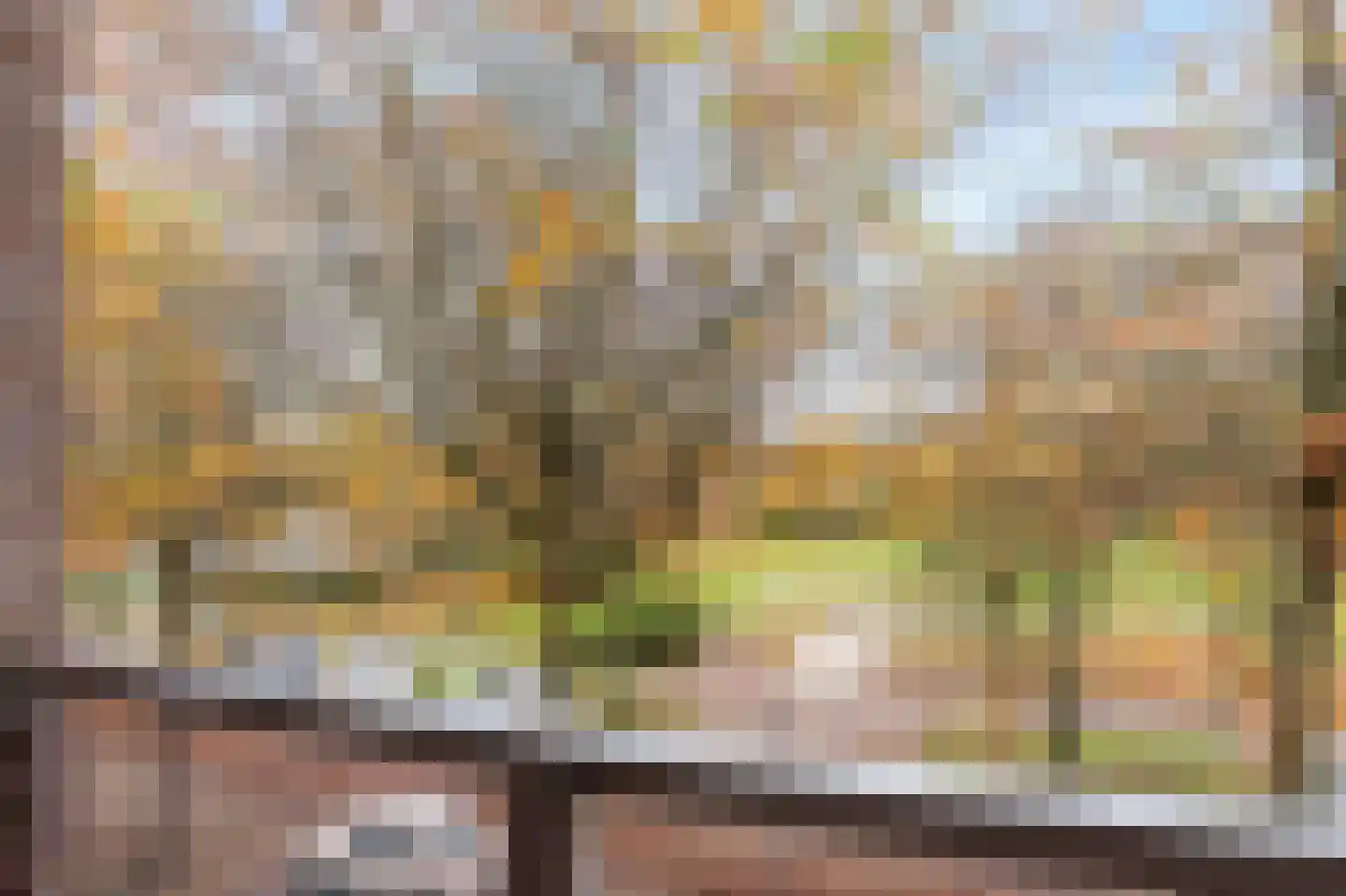 Deken van Oppensingel 201 Venlo thumbnail 17