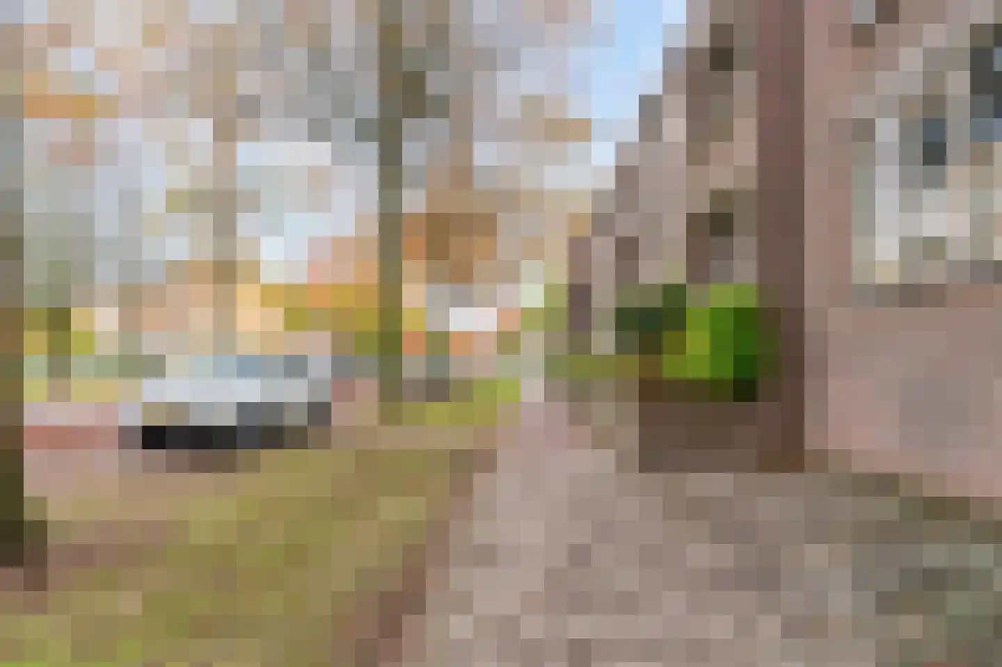Deken van Oppensingel 201 Venlo thumbnail 19
