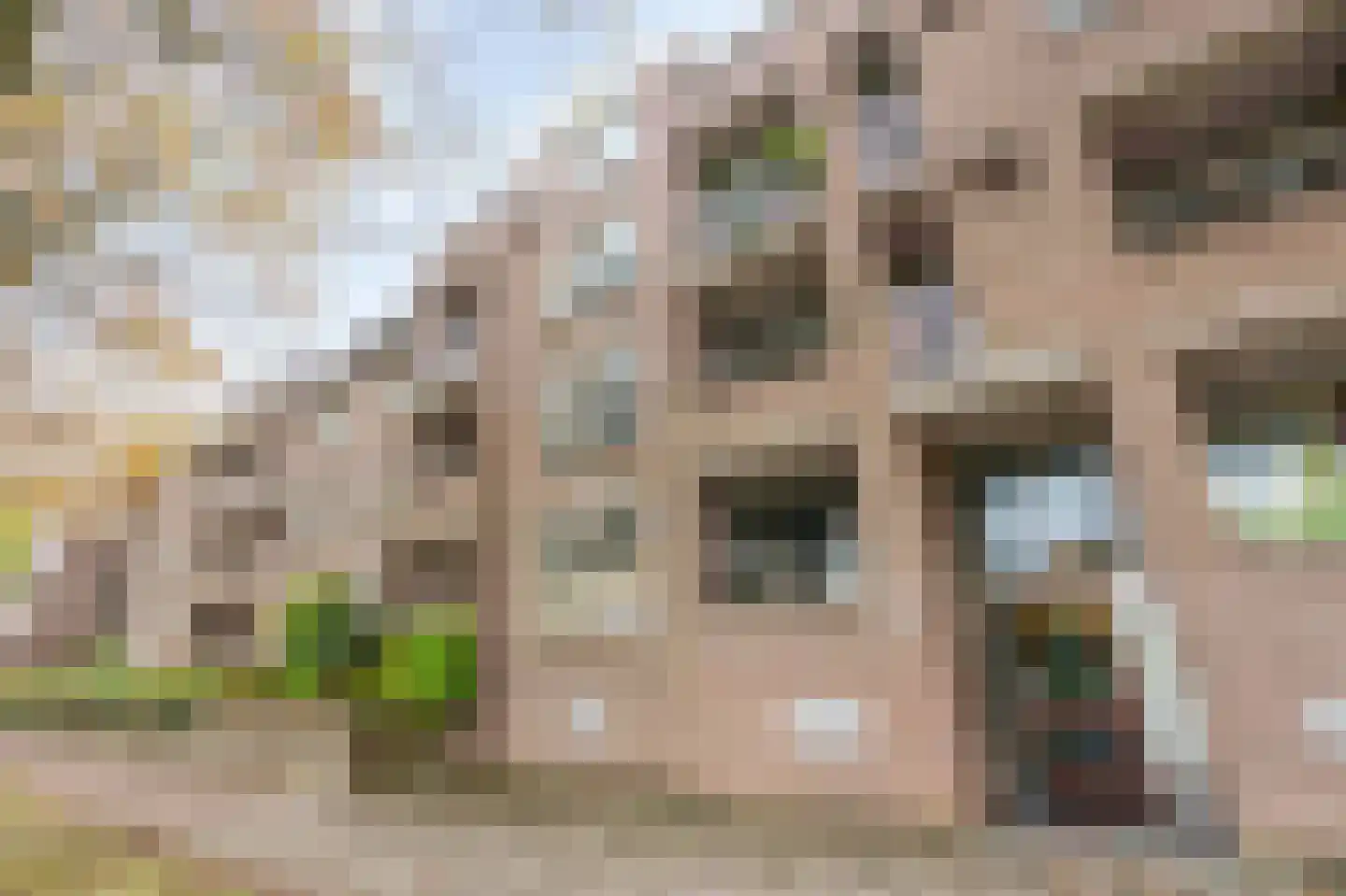 Deken van Oppensingel 201 Venlo foto 2