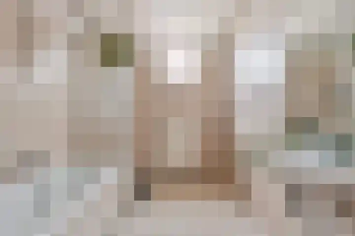Deken van Oppensingel 209 Venlo thumbnail 13