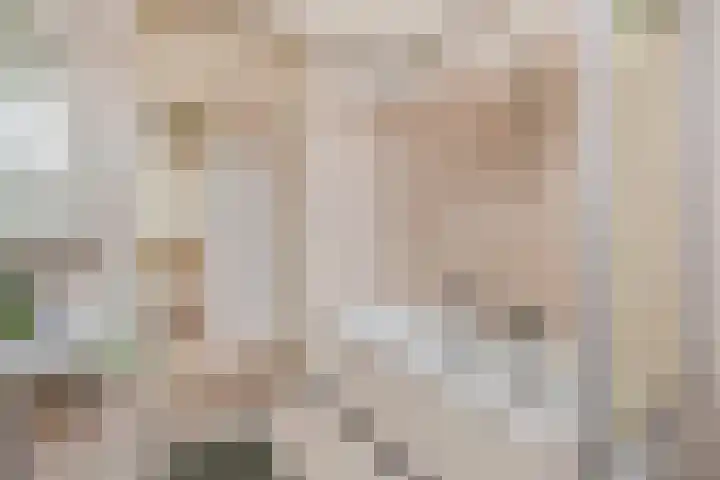 Deken van Oppensingel 209 Venlo thumbnail 17