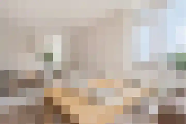 Deken van Oppensingel 209 Venlo thumbnail 4