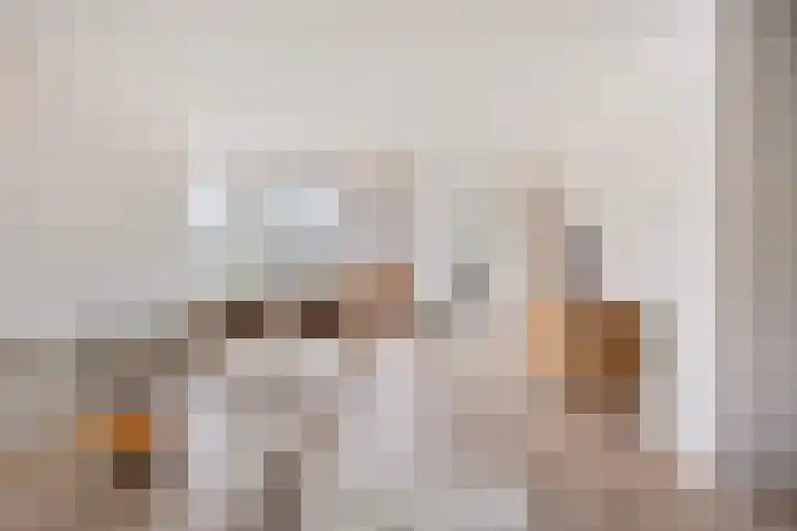 Deken van Oppensingel 209 Venlo thumbnail 7