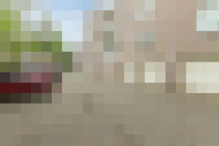 Deken van Oppensingel 213 Venlo thumbnail 16