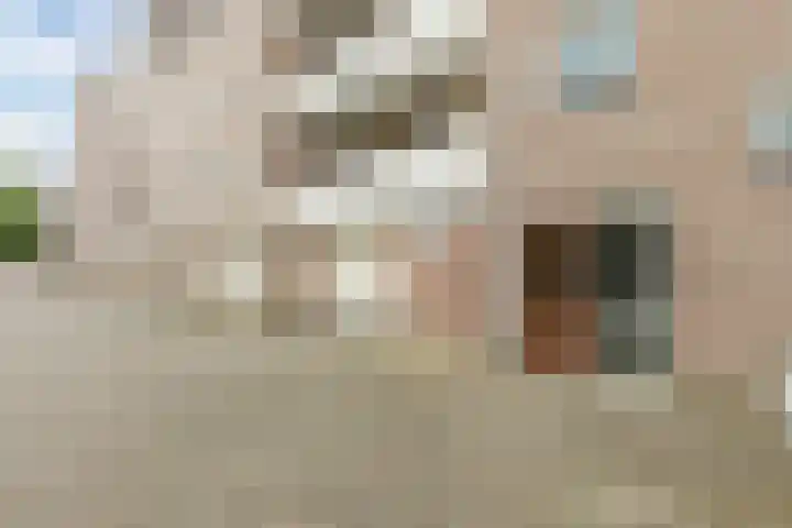 Deken van Oppensingel 213 Venlo thumbnail 17