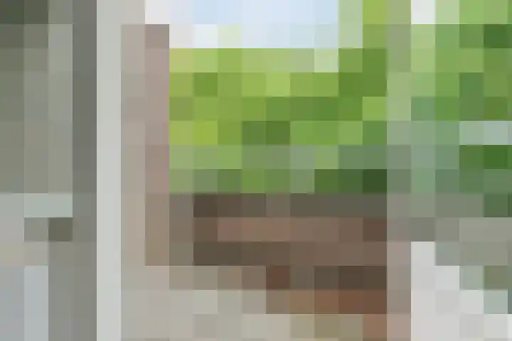 Deken van Oppensingel 213 Venlo thumbnail 8