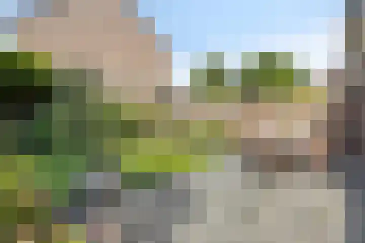 Deken van Oppensingel 223 Venlo thumbnail 10