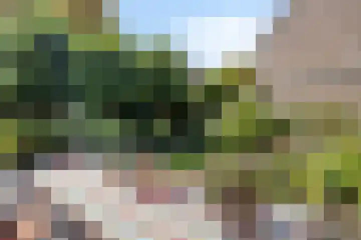 Deken van Oppensingel 223 Venlo thumbnail 11