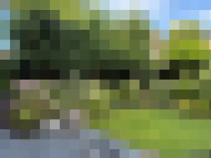 Deken van Oppensingel 223 Venlo thumbnail 12