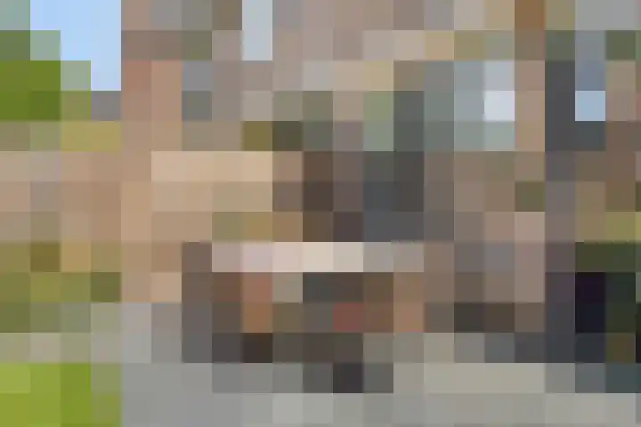 Deken van Oppensingel 223 Venlo thumbnail 13