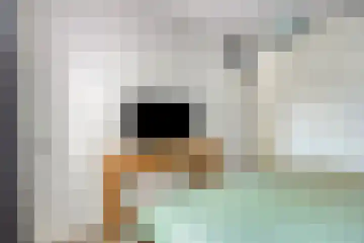 Deken van Oppensingel 223 Venlo thumbnail 16