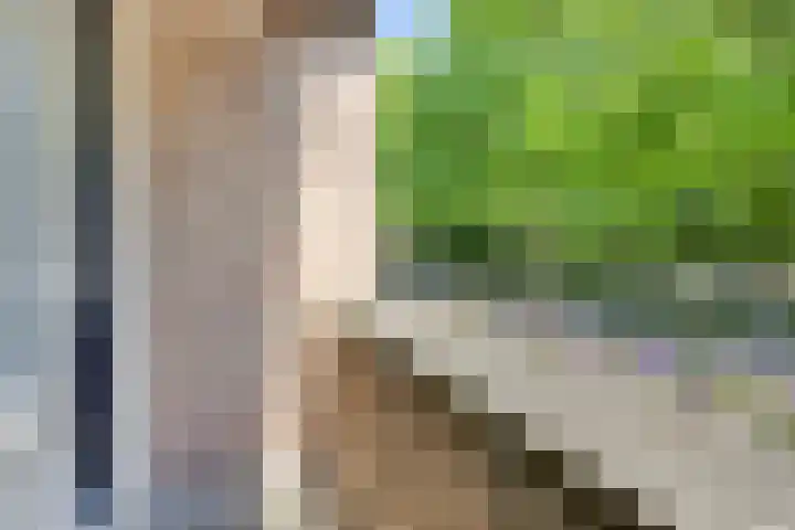 Deken van Oppensingel 223 Venlo thumbnail 17