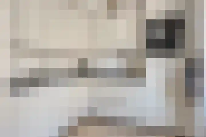 Deken van Oppensingel 223 Venlo thumbnail 8