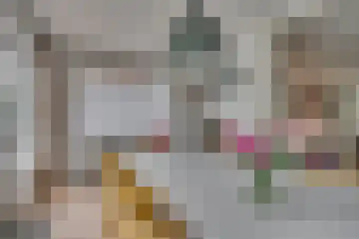 Deken van Oppensingel 235 Venlo thumbnail 15