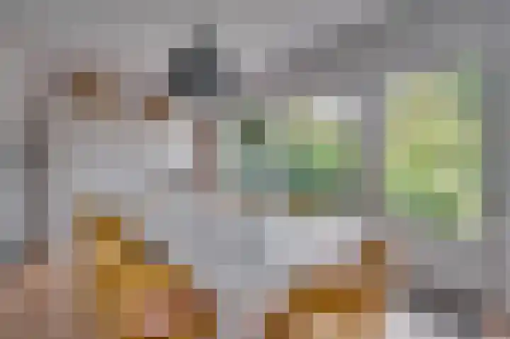Deken van Oppensingel 235 Venlo thumbnail 17