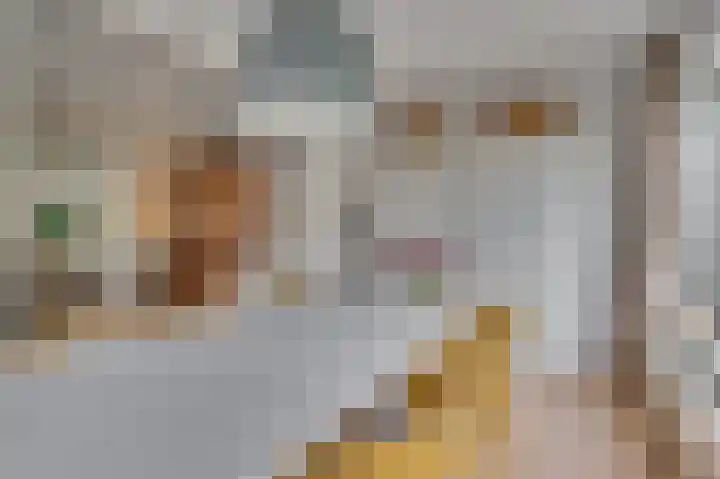 Deken van Oppensingel 235 Venlo thumbnail 18