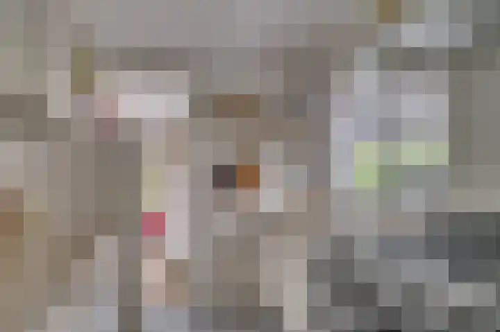 Deken van Oppensingel 235 Venlo thumbnail 19