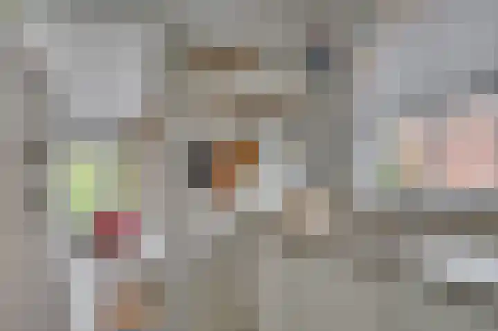 Deken van Oppensingel 235 Venlo thumbnail 22