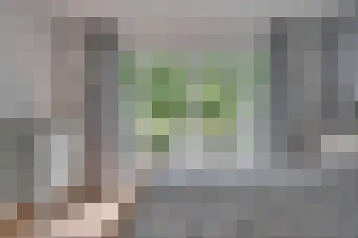 Deken van Oppensingel 235 Venlo thumbnail 27