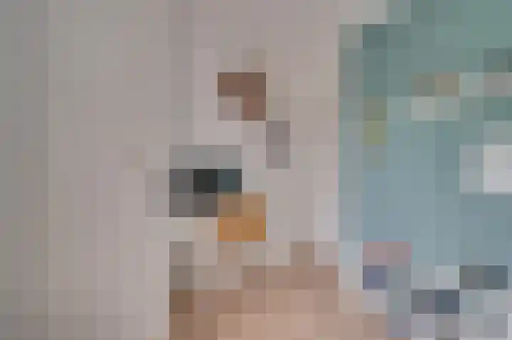 Deken van Oppensingel 235 Venlo thumbnail 32