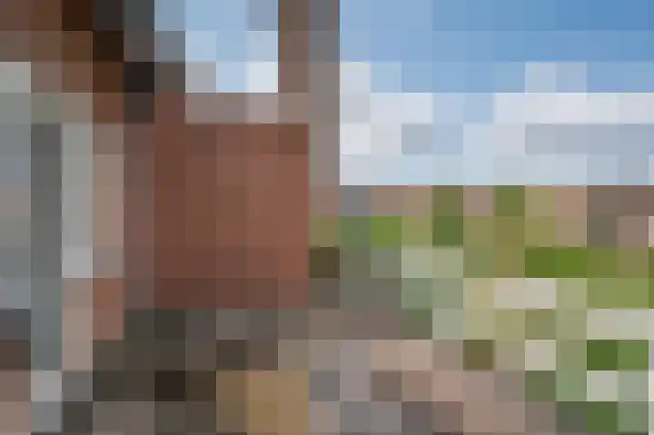 Deken van Oppensingel 235 Venlo thumbnail 34