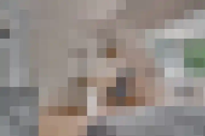 Deken van Oppensingel 235 Venlo thumbnail 42