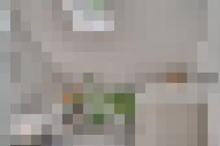 Deken van Oppensingel 235 Venlo thumbnail 43