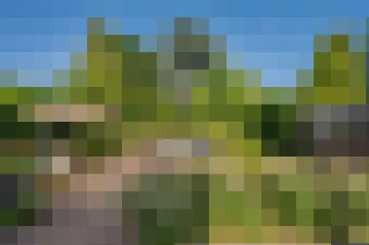 Deken van Oppensingel 235 Venlo thumbnail 46