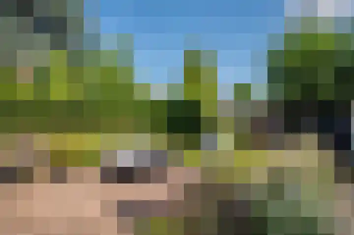 Deken van Oppensingel 235 Venlo thumbnail 47