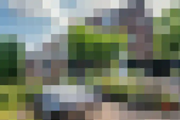 Deken van Oppensingel 235 Venlo thumbnail 49