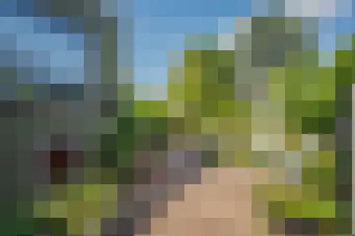 Deken van Oppensingel 235 Venlo thumbnail 52