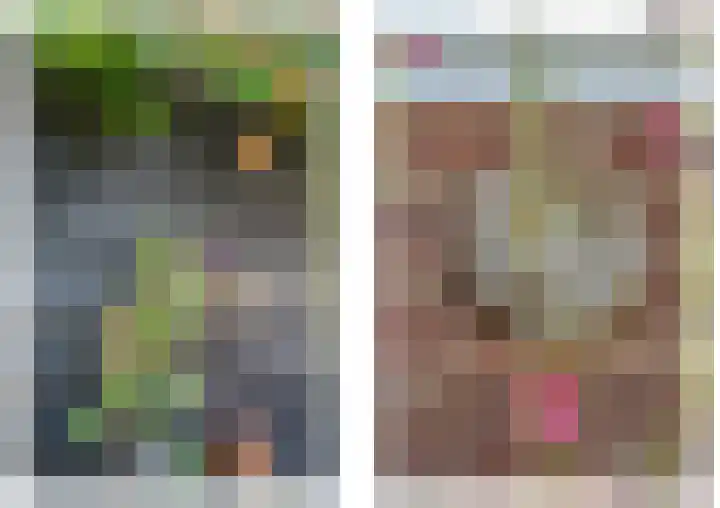 Deken van Oppensingel 235 Venlo thumbnail 55