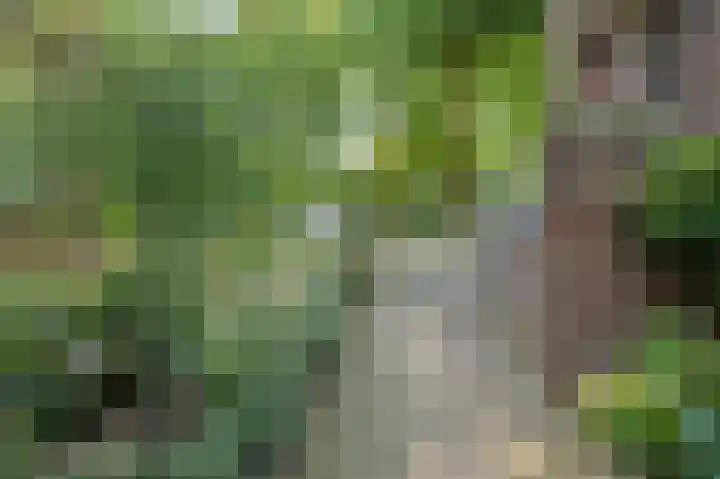 Deken van Oppensingel 235 Venlo thumbnail 57