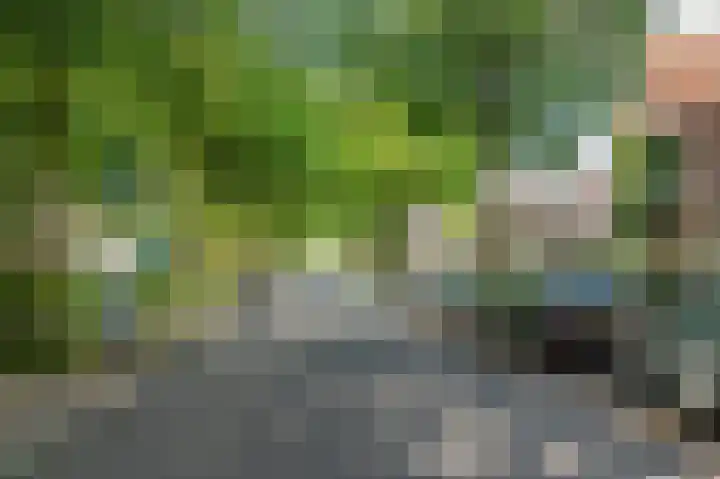 Deken van Oppensingel 235 Venlo thumbnail 60