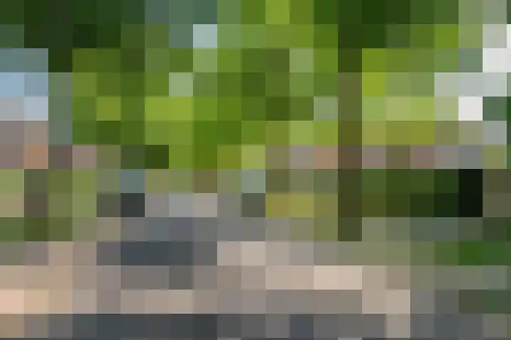 Deken van Oppensingel 235 Venlo thumbnail 61